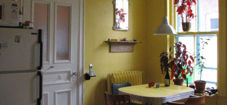 Appartement pour couple ou personne seule dans le Plateau Mont-Royal