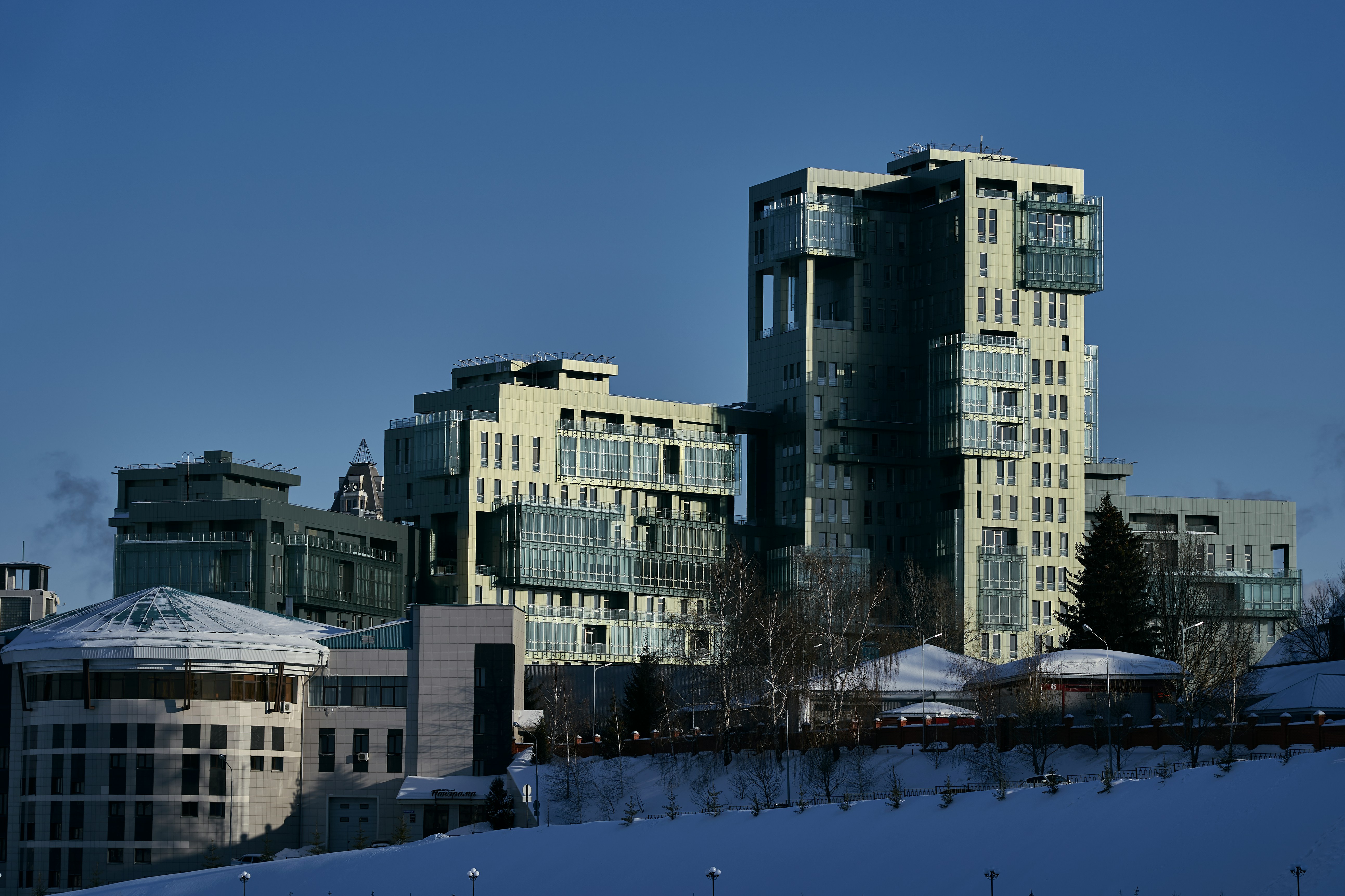 Skyscrapers rise above the tree line in the city.