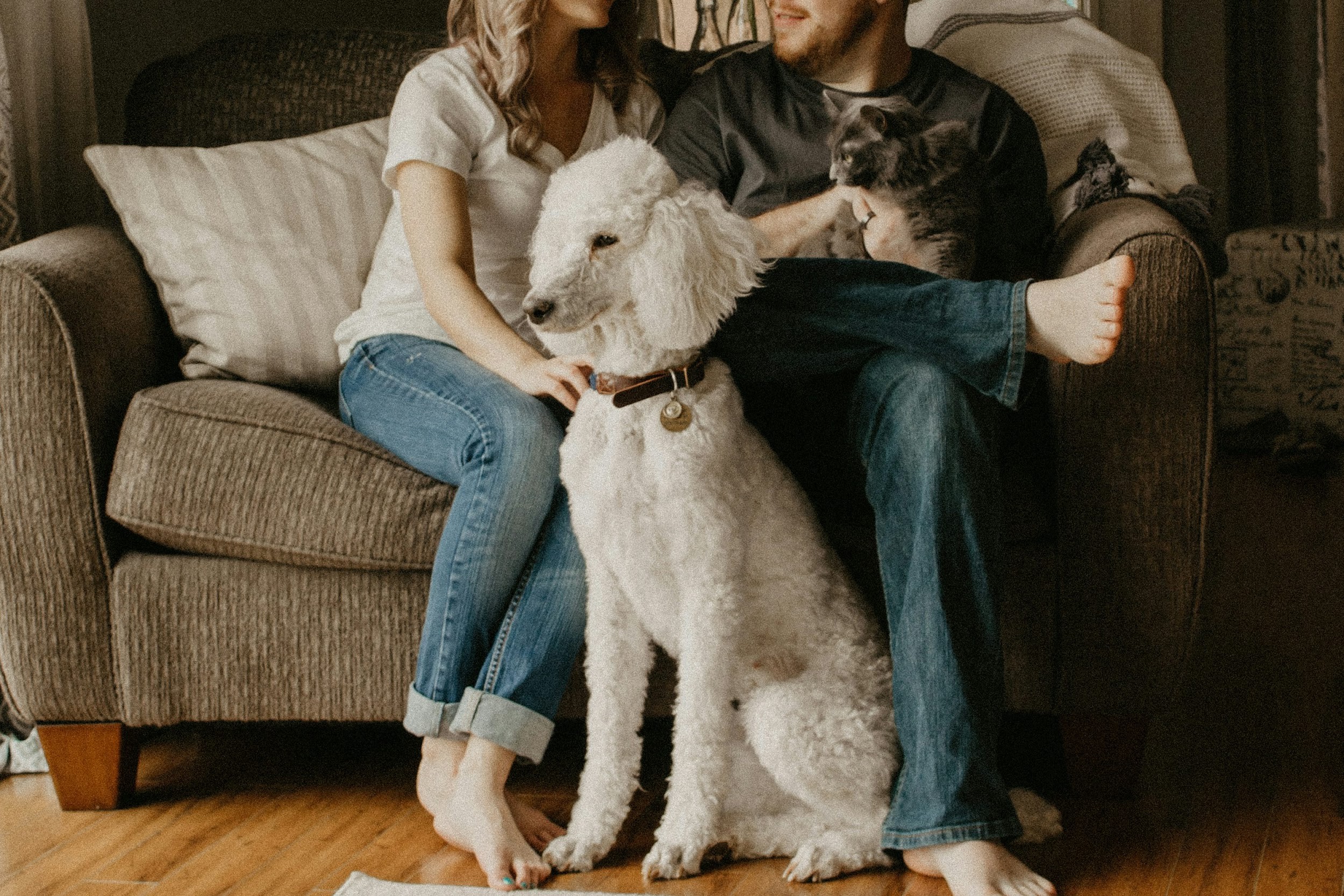 family in a rented apartment with a dog