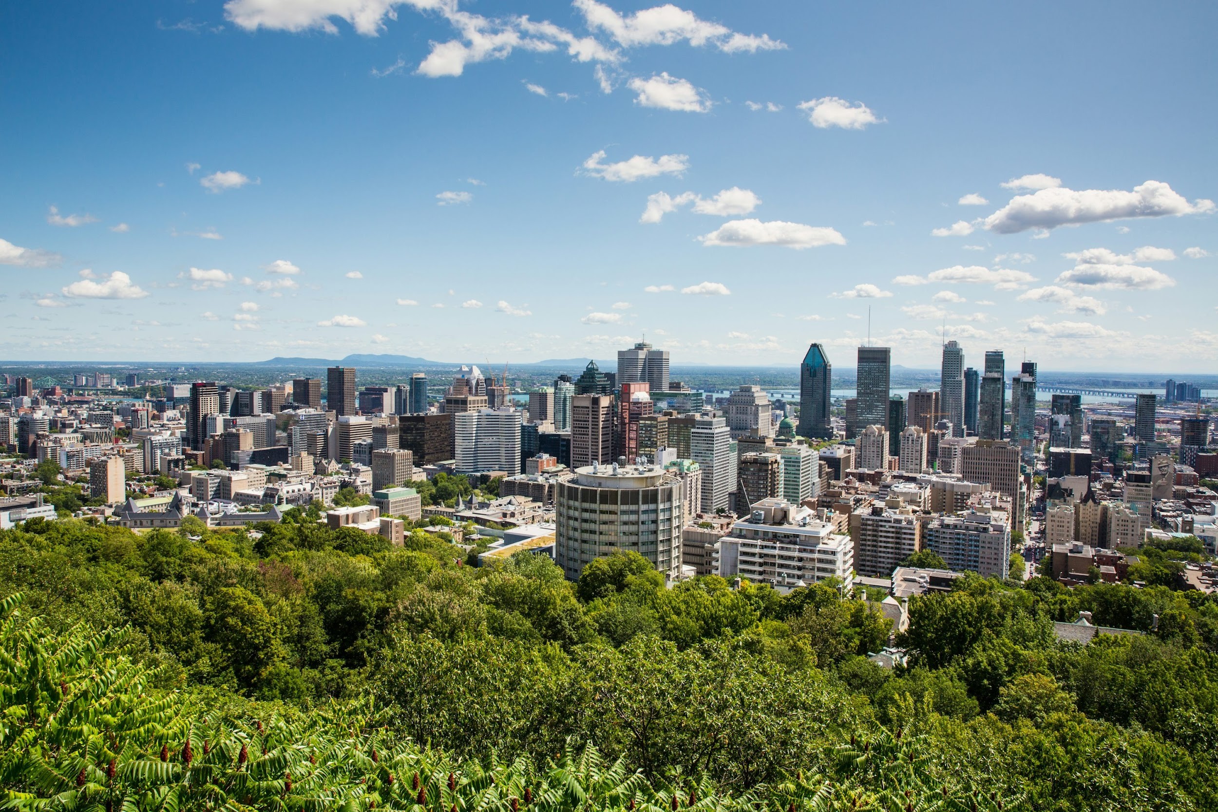 rent increase montreal